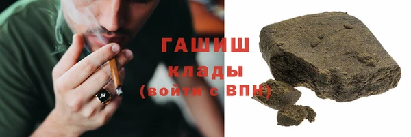 дмт Ельня