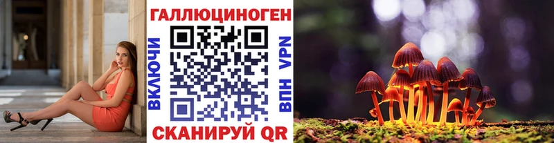 MEGA ССЫЛКА  Калачинск  Псилоцибиновые грибы Magic Shrooms 